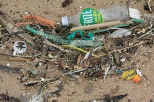 inquinamento plastica spiaggia Genova