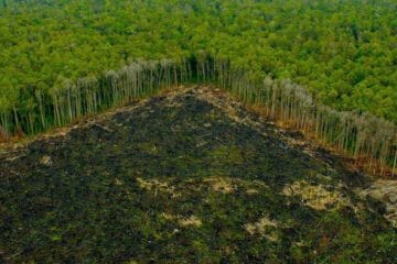 europa difesa ambiente